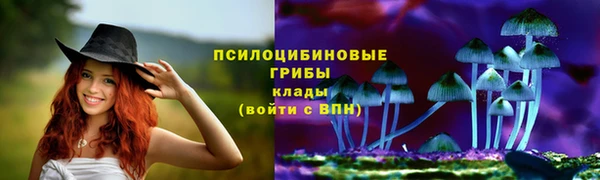 винт Алексин