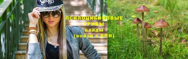 винт Алексин
